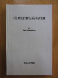 Ion Mihalache - Ce politica sa facem (1995)