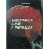 UIMITOAREA LUME A PIETRELOR-TUDOR OPRIS-226530
