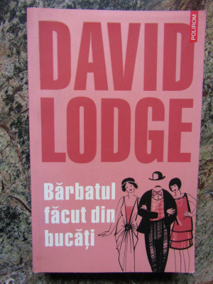 BARBATUL FACUT DIN BUCATI de DAVID LODGE , 2011 foto