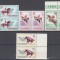 ROMANIA 1964 LP 583 HIPISM PERECHE SERII MNH