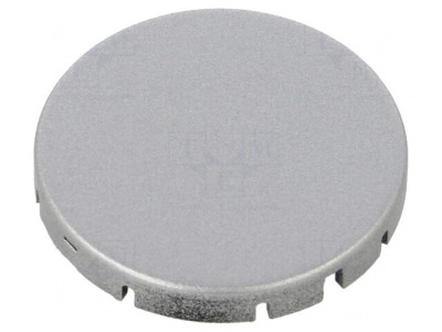 Lentilă Buton Argintie RONTRON-R-JUWEL &amp;Oslash;19,7mm foto