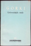 UNIVERSITATILE MELE-MAXIM GORKI-307452