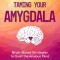 Taming Your Amygdala: Brain-Based Strategies to Quiet the Anxious Brain