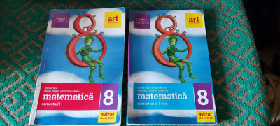 MATEMATICA CLASA A VIII A , SEMESTRUL I SI II FIANU PERIANU BALICA SAVULESCU foto