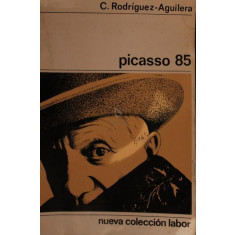 PICASSO 85