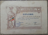 Diploma Societatea Stiintifica-Literara Tinerimea Romana 1938