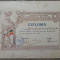 Diploma Societatea Stiintifica-Literara Tinerimea Romana 1938
