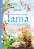 Totul Despre Natura. Iarna. Minienciclopedie Cu Activitati. Gabby Dawnay - Litera