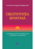 Creativitatea spontana | Tenzin Wangyal Rinpoche