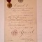 Brevet + Medalia Bene Merenti cls 1 pt OVID DENSUSIANU, mare istoric . 1913