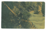 4838 - CASCADA LOTRULUI, Valcea, Romania - old postcard - used - 1908, Circulata, Printata