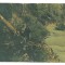 4838 - CASCADA LOTRULUI, Valcea, Romania - old postcard - used - 1908