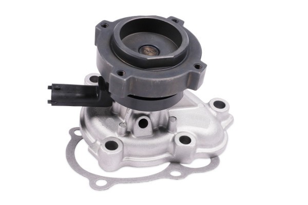 HEPU P3001M Pompă de apă, răcire motor