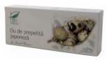 Ou de Prepelita Japoneza Medica 30cps, Medica Farmimpex
