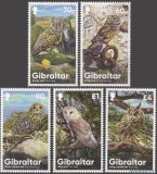 Gibraltar 2020 - Bufnite, pasari, fauna, serie neuzata
