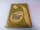 A Korobitin - Crima de la muzeul figurilor de ceara / C26