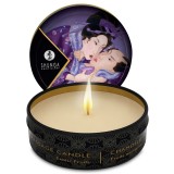 Shunga Candles-Mini Caress by Candelight Lum&acirc;nare de Masaj-Fructe Exotice, 30 ml