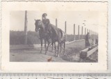 Bnk foto - Militar calare - anii `40, Alb-Negru, Romania 1900 - 1950