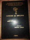 Lucrare de diploma- Mihai Selaru, Dodon Larisa