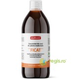 Concentrat din Ceai de Plante Medicinale pentru Ficat 500ml