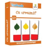 Ce urmeaza?. Triopuzzle.2020, Gama