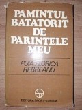 Pamintul batatorit de parintele meu- Puia Florica Rebreanu