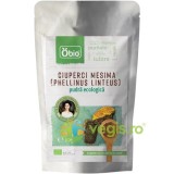 Pudra de Ciuperci Mesima (Phellinus Linteus) Ecologica/Bio 60g