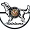 GOLDEN RETRIEVER-ceas de perete