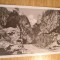 QW24 C - Carte postala - tematica turism - vedere - Cheile Bicazului 2