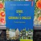 Ciutacu și Apahideanu, Genul &icirc;n germană și engleză, Contextul germanic, 2005 118