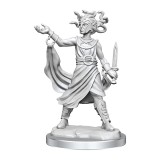 Miniatura Nepictata D&amp;D Frameworks - Medusa