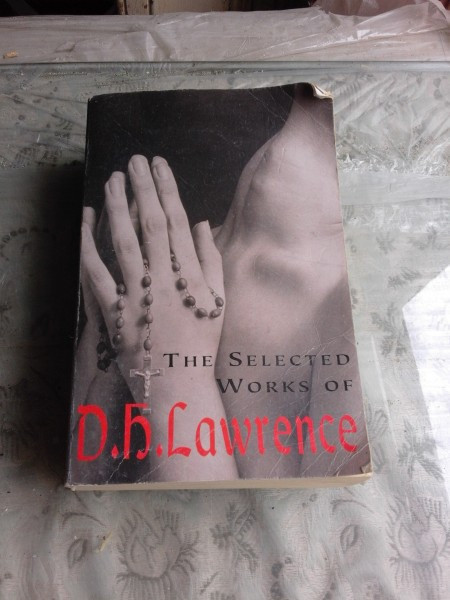 THE SELECTED WORKS OF D.H. LAWRENCE (CARTE IN LIMBA ENGLEZA)