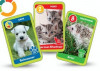 Animal Kindergarten Series - 8 rare cards from Mega Image CG.018
