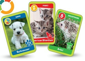 Animal Kindergarten Series - 128 cards from Mega Image (Delhaize Group) CG.017 foto
