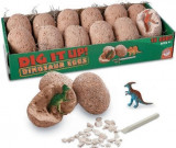 Dig It Up! Dinosaur Eggs, Oua de dinozauri - la bucata, Mindware