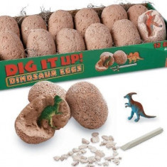 Dig It Up! Dinosaur Eggs, Oua de dinozauri - la bucata