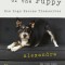 The Year of the Puppy