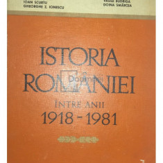 Aron Petric - Istoria României între anii 1918-1981 (editia 1981)