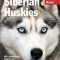 Siberian Huskies: Everything about Selection, Care, Nutrition, Behavior, and Training