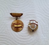 Insigne Tanarul Dinamovist si Dinamo Bucuresti 1948&ndash;1988