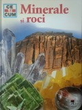Werner Buggisch - Minerale si roci (Editia: 2006)