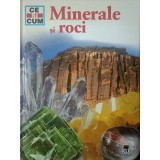 Werner Buggisch - Minerale si roci (Editia: 2006)