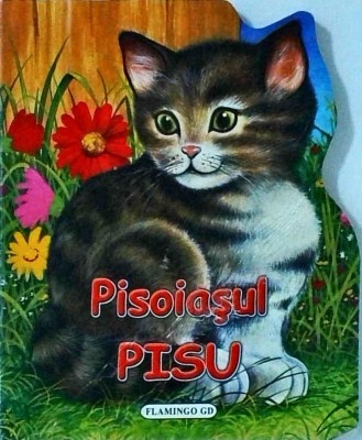 Pisoiasul Pisu foto
