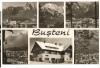 CPIB 15709 CARTE POSTALA - BUSTENI, MOZAIC, Circulata, Fotografie