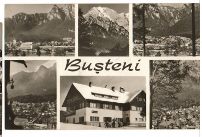 CPIB 15709 CARTE POSTALA - BUSTENI, MOZAIC foto