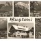 CPIB 15709 CARTE POSTALA - BUSTENI, MOZAIC
