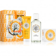 Roger & Gallet Autumn Set Bois D’Orange set cadou pentru femei