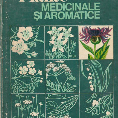 A. LAZA, G. RACZ - PLANTE MEDICINALE SI AROMATICE ( 1975 )