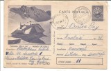 @carte postala(ilustrata)-FAGARAS-Cabana Balea Lac
