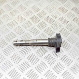 Bobina de inducție de &icirc;naltă tensiune VW PASSAT B6 3C2 2009 OEM: 78231005,07K905715F 13677251